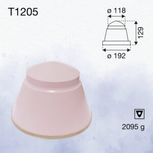 T1205